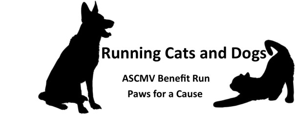 running cats and dogs